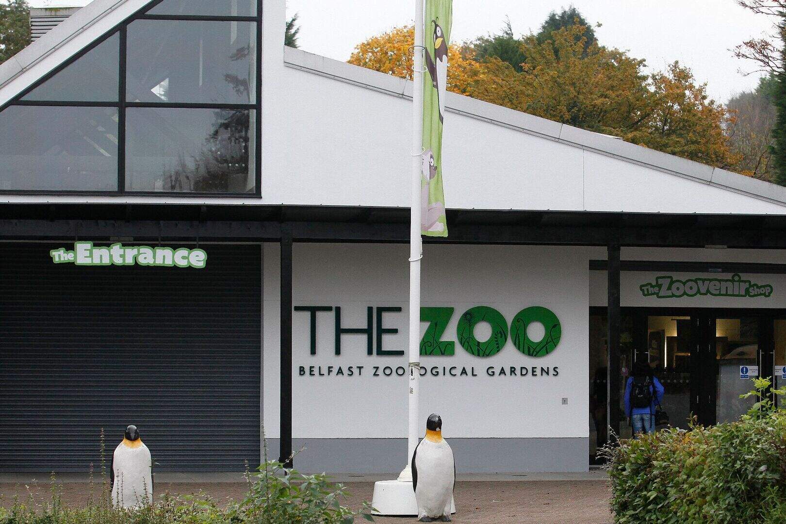 belfast-zoo-must-be-shut-says-northern-ireland-says-no-to-animal